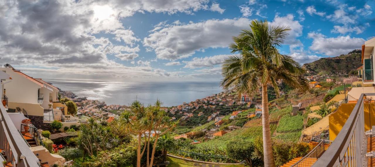 Palm Tree House By Amazing Madeira Villa Câmara de Lobos Exteriör bild