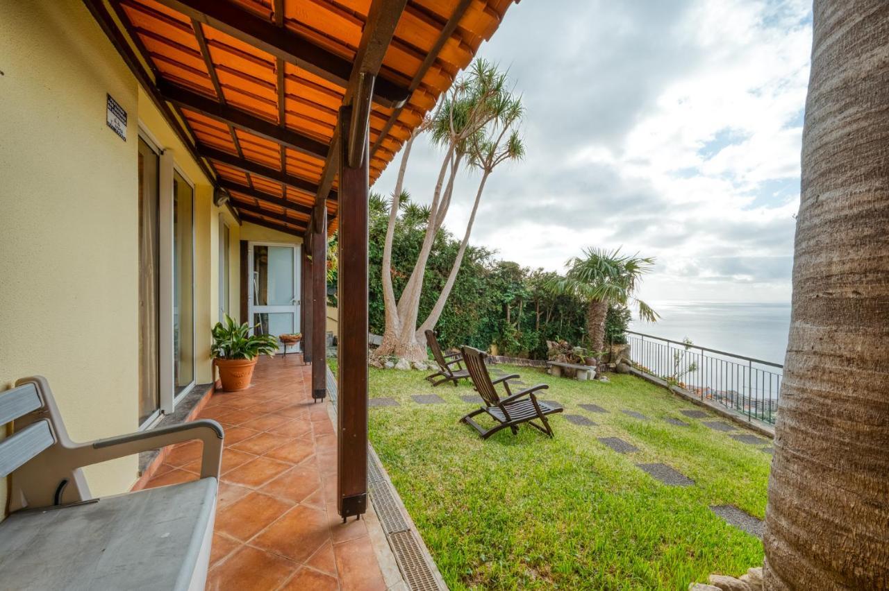 Palm Tree House By Amazing Madeira Villa Câmara de Lobos Exteriör bild