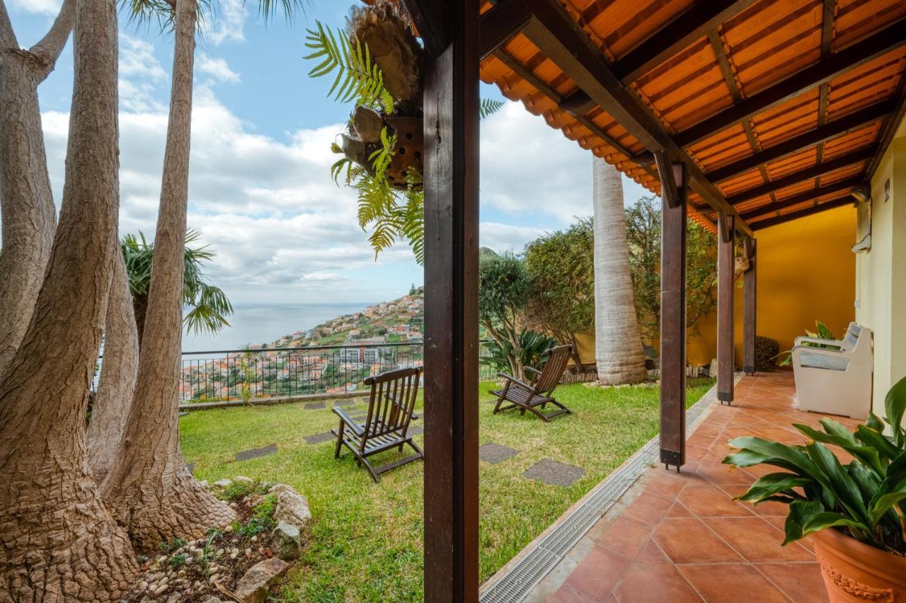 Palm Tree House By Amazing Madeira Villa Câmara de Lobos Exteriör bild